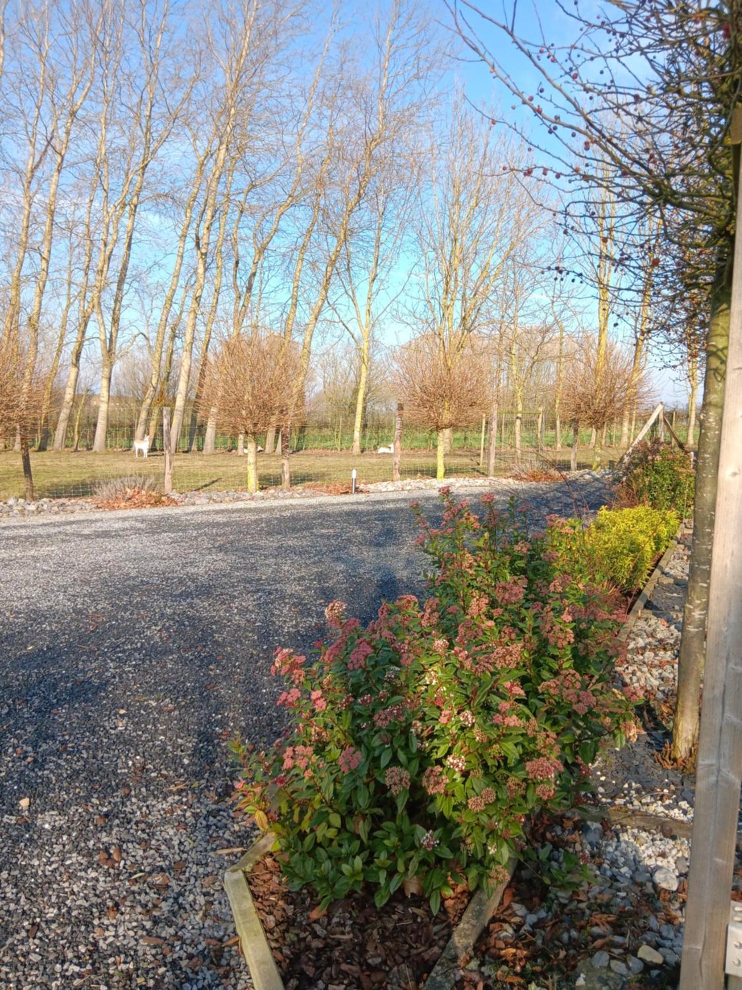 La Chambre Des Daines Binche Exteriér fotografie